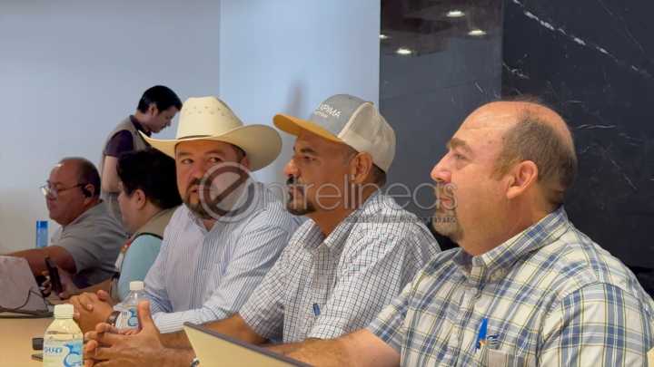 Listo programa preventivo contra plaga del chapulín, señala Desarrollo Rural