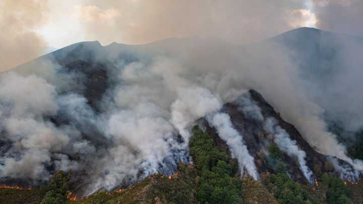 Los incendios provocan las mayores emisiones de carbono en España desde al menos 2003