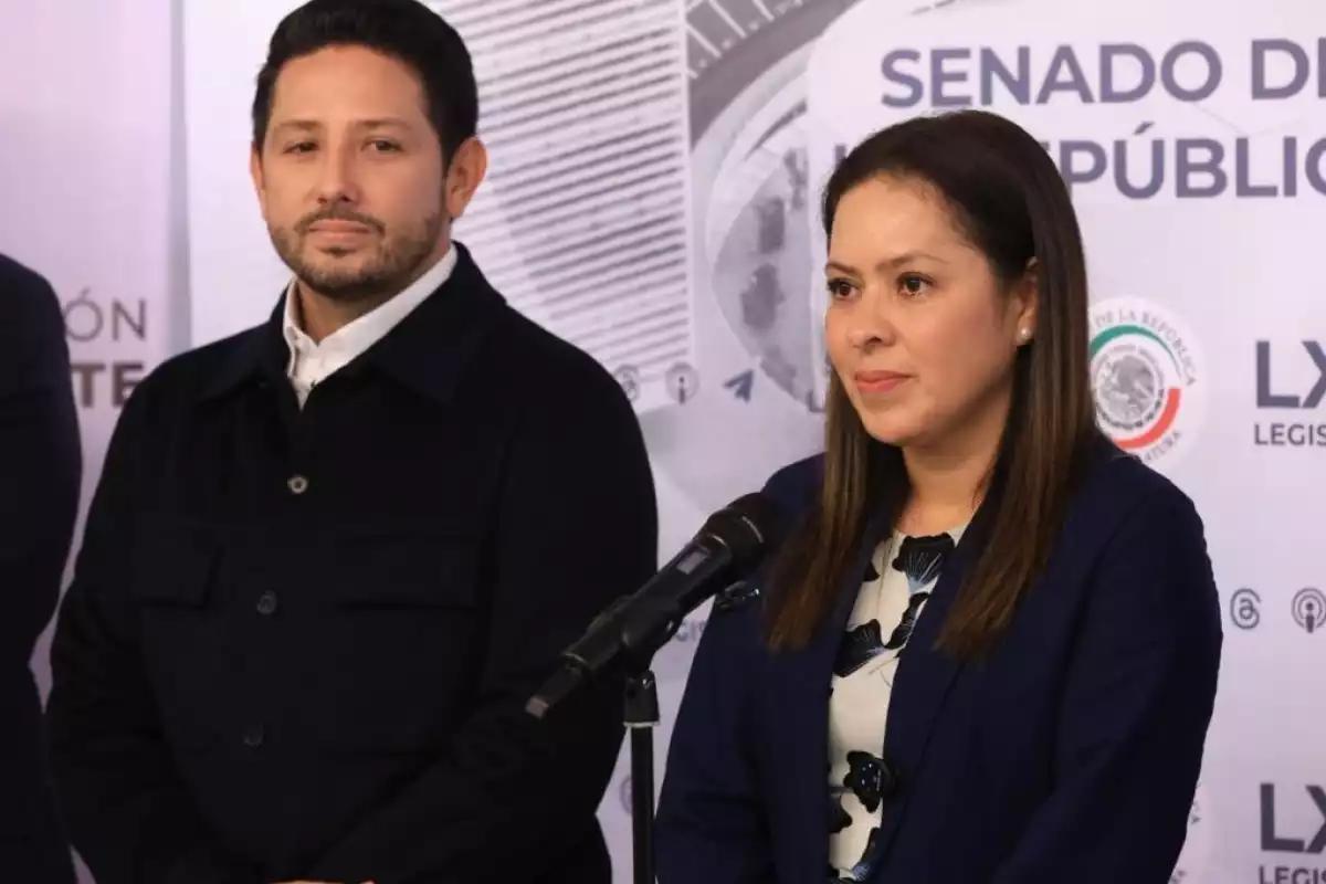 PVEM advierte que no dará ‘cheque en blanco’ a reforma electoral de Sheinbaum