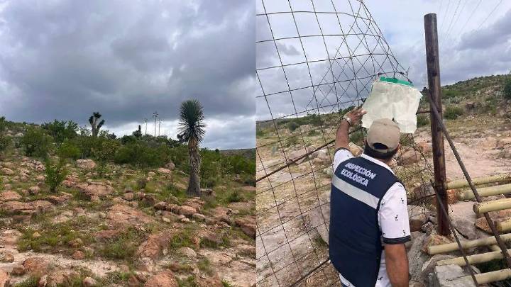 Supervisan la Sierra de San Miguelito tras denuncias por envenenamiento de perros