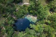 Florida’s once-pristine springs threatened by pollution, development and climate change – Sun Sentinel
