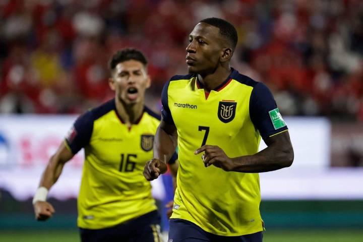 Why Brighton's ability to attract and hold on to South Americans is dwindling