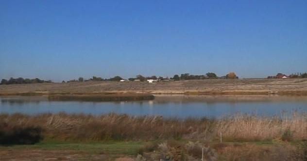 Harmful algal bloom found at McNary Wildlife Refuge