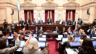 Senado: la oposición consiguió quórum y arranca la sesión en la que busca aumentar los fondos para el Garrahan y las universidades