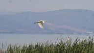 ¿Un lago dentro de un cráter volcánico? Conoce este y más cuerpos de agua de la región
