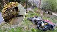 Muere un joven que conducía una moto al cruzarse con un jabalí en carretera