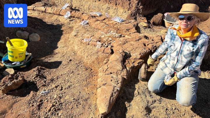 Weekly news quiz: A postal pause, fossil fossicking and a town overrun