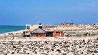 Cambio climático y presión inmobiliaria amenazan dunas de Baja California Sur