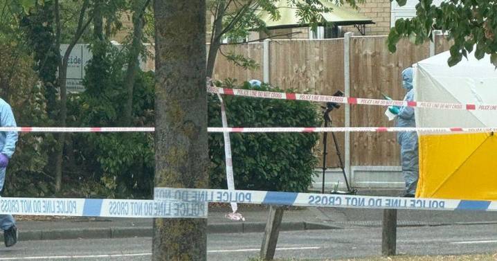 Romford murder live after woman in 20s found dead in 'truly tragic' attack