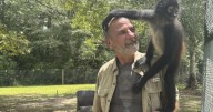 Primate sanctuary helps military veterans heal from PTSD