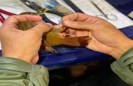Inician proyecto de monitoreo y anillado de aves en el parque Nacional Henri Pittier
