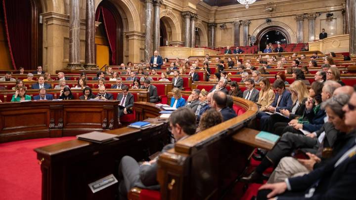 Eva García (PP) acusa al Govern de "inútil" por falta de plazas en la FP y pide a Niubó comparecer