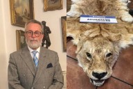 Formalizan a exembajador chileno Camilo Sanhueza por contrabando de pieles en calidad de autor