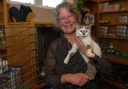 Prairie Grove police captain says back-to-back fatal accidents new for department; community mourns animal advocate