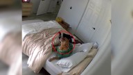 Arizona Woman Kept Finding Her Bed Messy Until A Hidden Camera Revealed The Surprise Visitor