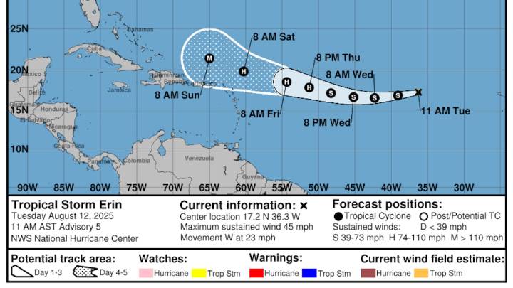 Tropical Storm Erin likely to become hurricane. Here’s what to know.