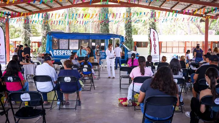 Sebides registra más de mil esterilizaciones de mascotas en lo que va del año