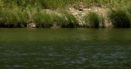 Residents in Whitney are fighting for the future of Lake Whitney