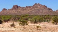 Desierto de Chihuahua: De dónde a dónde abarca este territorio, el más basto de América del Norte