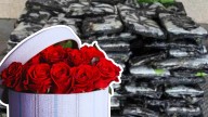 Descubren casi media tonelada de droga escondida en un cargamento de rosas