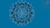 La hepatitis A se dispara en España: doble de casos en lo que va de año respecto a 2024