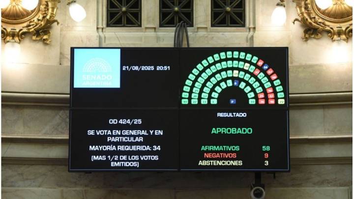 El Senado convirtió en ley el financiamiento universitario