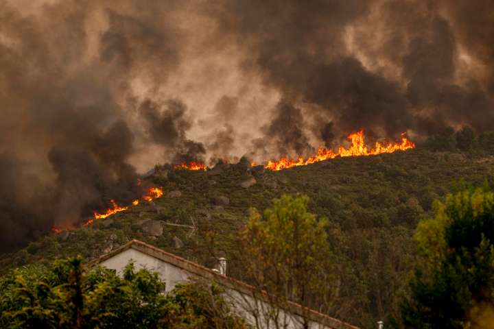 Continúa la ola de incendios forestales en Europa
