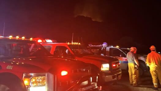 Juveniles responsible for starting wildfire in Mapleton, police say