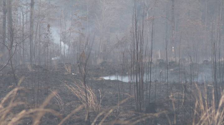 Here's which counties in Arkansas are currently under a burn ban