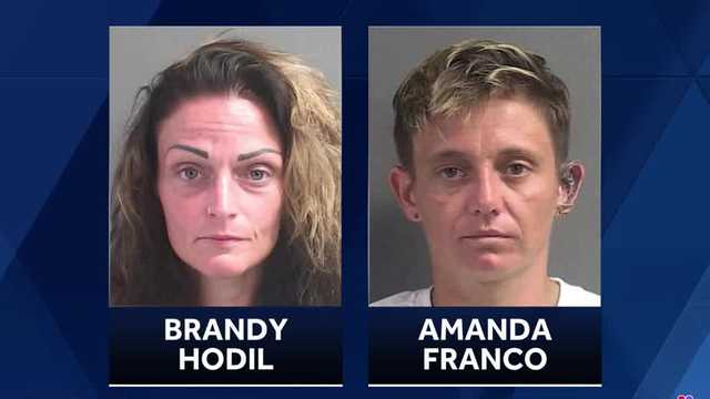 Florida dog owners face felony charges after pet killed 8