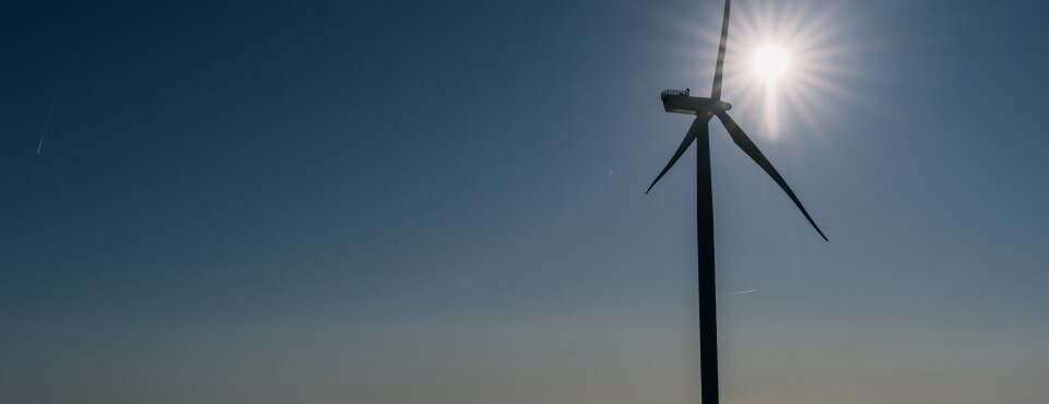 Trump’s Halt of Wind Farms Shows Scope of Anti