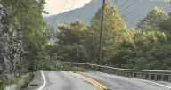 Fallen trees cause power outage, road closure on Signal Mountain