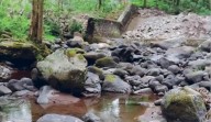Senado exhorta a SEMARNAT y PROFEPA a informar y restaurar el río Pixquiac