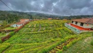 El punto en el que va la implementación de la gestión de tierras de la Reforma Agraria