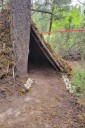 ‘Take only photos, leave only footprints’: Parks Canada dismantling Illegal forest forts