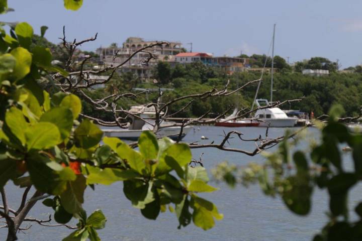 Fajardo cierra la rampa de botes en Las Croabas como medida de seguridad – NotiCel 