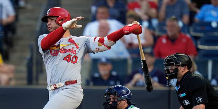 Contreras HR, Burleson’s 2 RBIs power the Cardinals to a win over the Rays