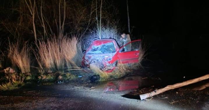 Impactante choque sobre la Ruta Chica en Cervantes: impactó con un caballo y el conductor se salvó de milagro