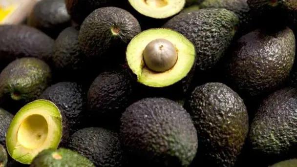 Aguacate: propiedades, nutrientes y calorías según Harvard