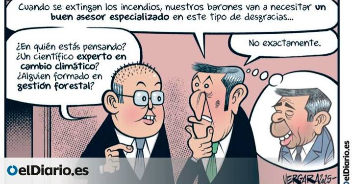 Asesoramiento especializado