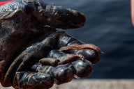 Making mud sexy: Scientists search for climate change answers in Quebec sea floor