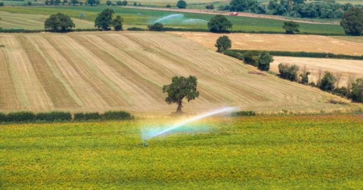 21 counties in England set to miss out on September heatwave in Indian Summer