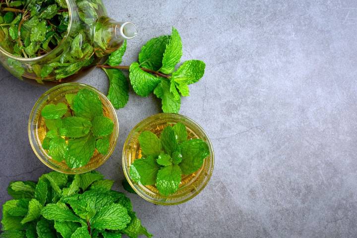 Cómo consumirla. La menta, una hierba natural es que es bastante más que solo un refrescante bucal