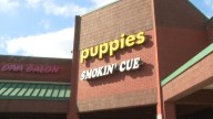 Charlotte pet store shut down after death of 11 puppies