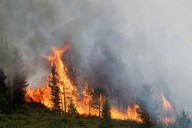 Los incendios baten récords en Europa, con la península ibérica como su principal víctima