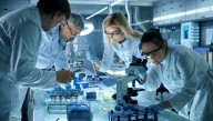 Professionals Work Tirelessly To Discover Which Political Party Should Be Blamed For Virus