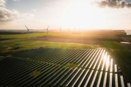 Washington Study Finds Apple Orchards Prime Candidates for Solar