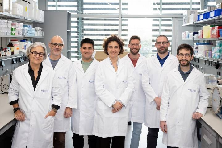 Identifican un gen que potencia la inmunoterapia en el cáncer de pulmón más agresivo al inhibirse