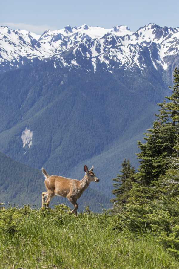 10 things to do in WA before you die