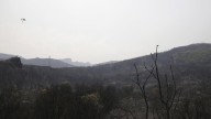 León suma otro incendio de gravedad al declararse uno de nivel 1 en Gestoso